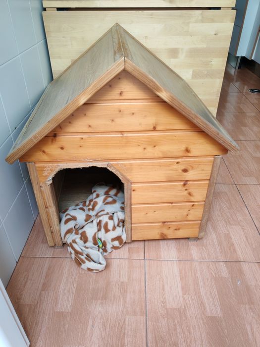 Vendo casa para cão em madeira