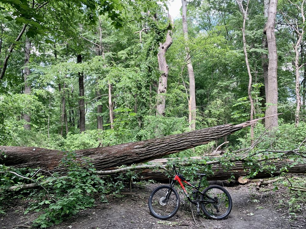 Rower górski full MTB Marin Rift Zone 2 29” rozm. M