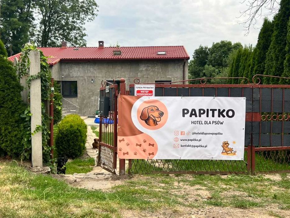 Wyjeżdżasz? Zostaw pieska w dobrych łapkach! Hotel dla psów PAPITKO