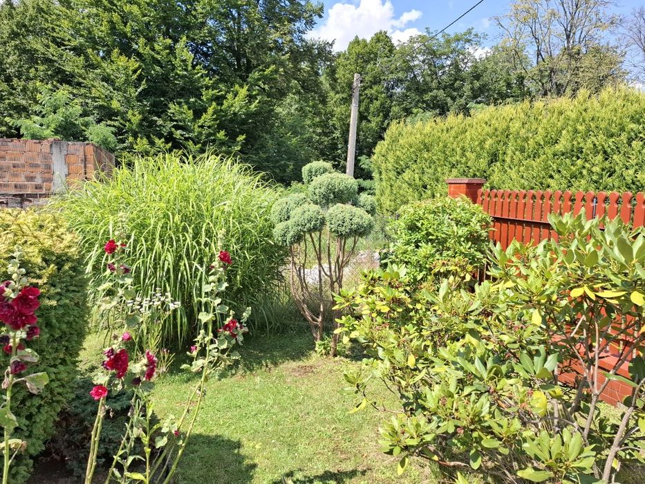 Dom wolnostojący z ogrodem w okolicach Bielska Białej