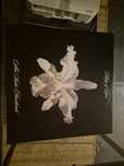 Kings Of Leon Aha Shake Heartbreak winyl
