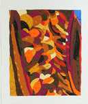 Nikias Skapinakis Serigrafia