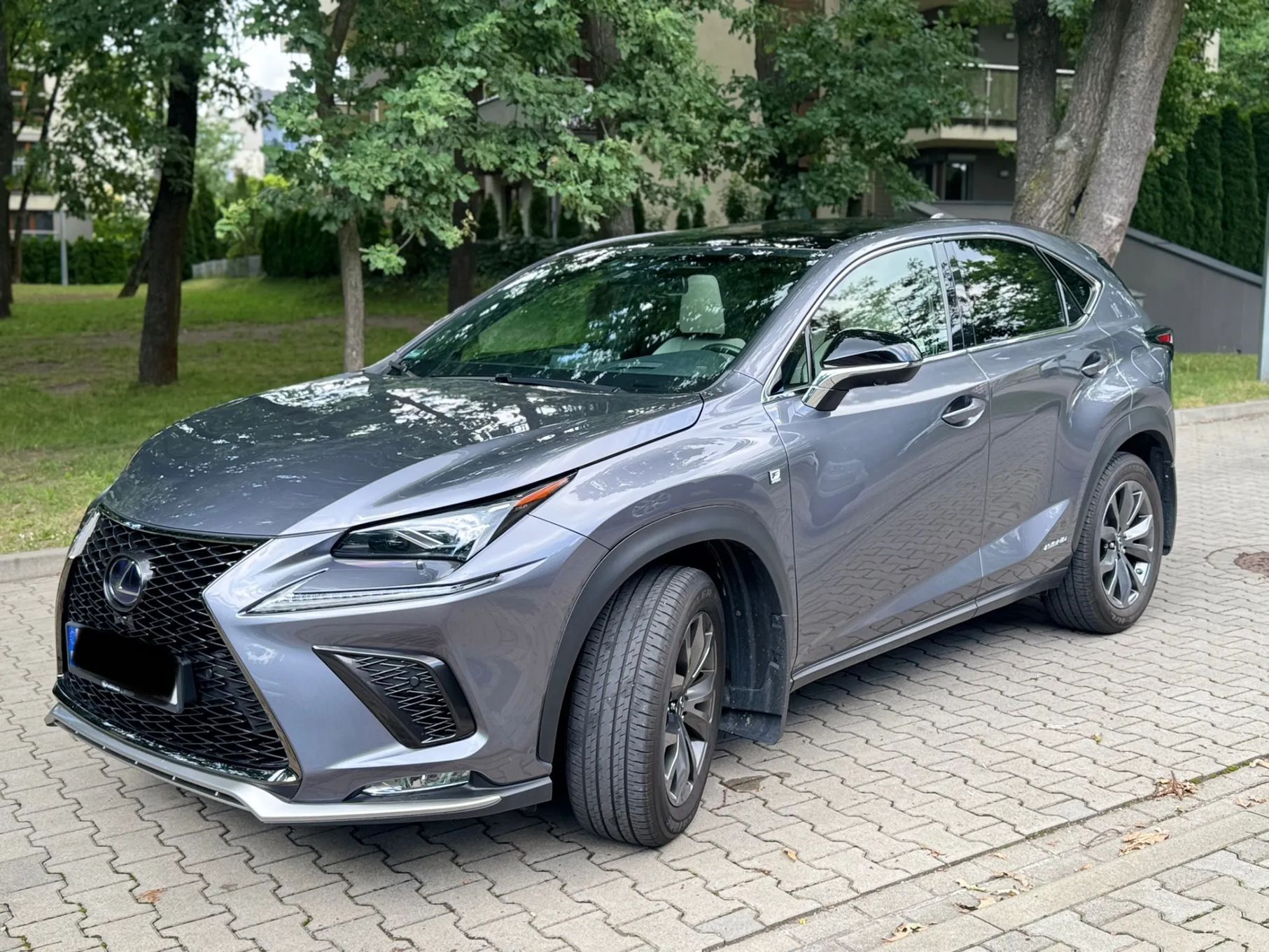 Lexus NX Lexus NX 300 F Sport 2019 IDEAŁ