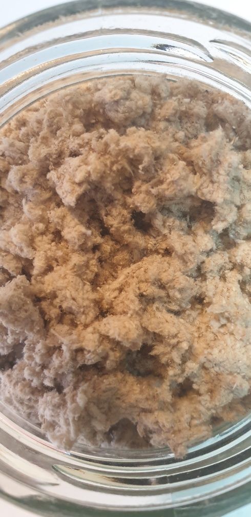 Wrośniak różnobarwny Trametes versicolor 50 gram mielony na puch