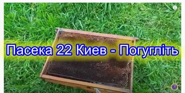 Продам суш пчелинную рамка дадан сушнину отстроенную вощину стільники