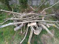 Drewno orzech włoski świeżo ścięte ponad metr