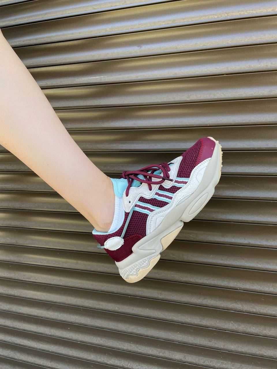 Кросівики - Adidas Ozweego Bordo Blue  (36 - 41 )