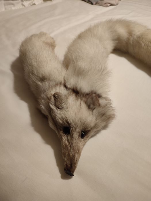 Estola de pele raposa