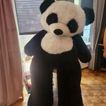 miś pluszowy panda 100 cm