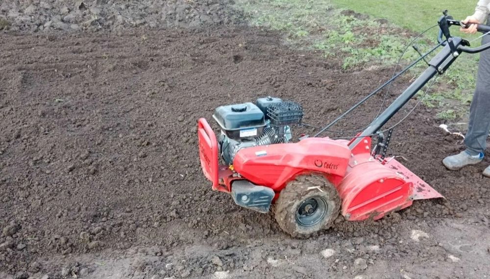 Wycinka Drzew, utylizacja zielonej masy, podnośnik koszowy, Frezowanie