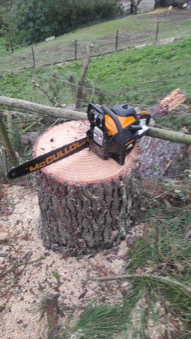 Serviço  corte de árvores manutenção de jardins