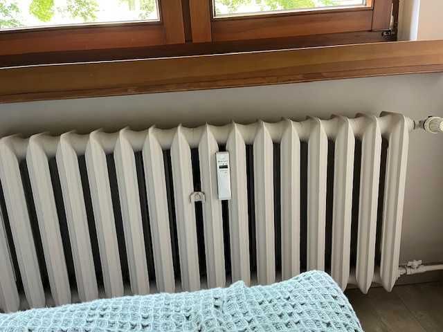 Kaloryfer żeliwny