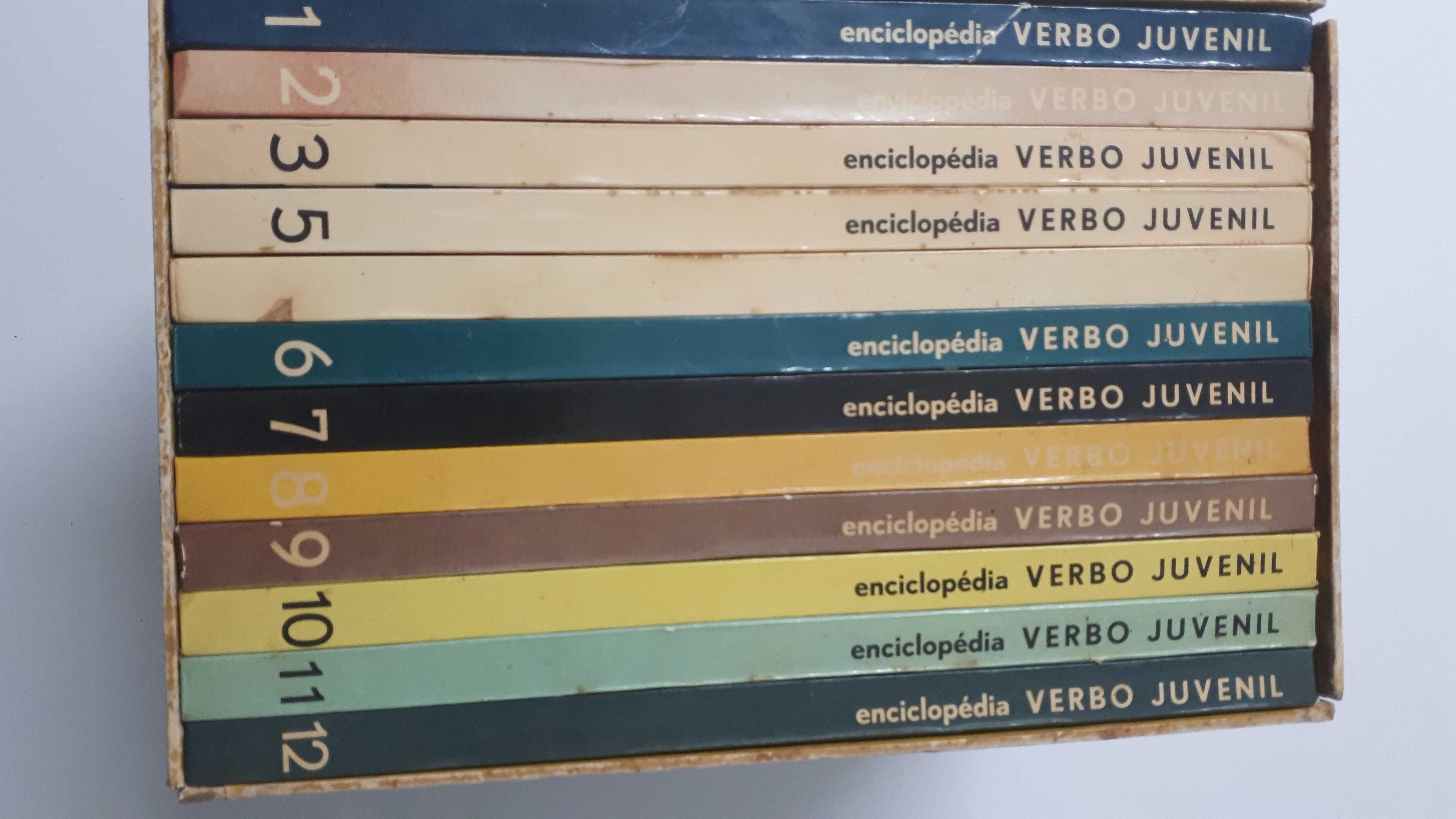 Enciclopédia Verbo Juvenil 12 volumes