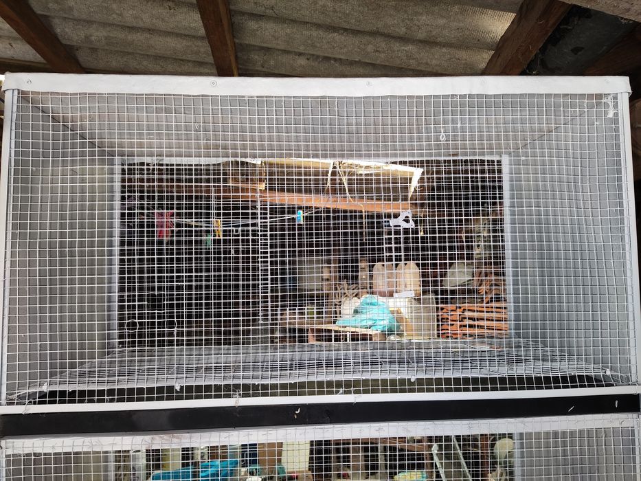 Viveiro tipo armário