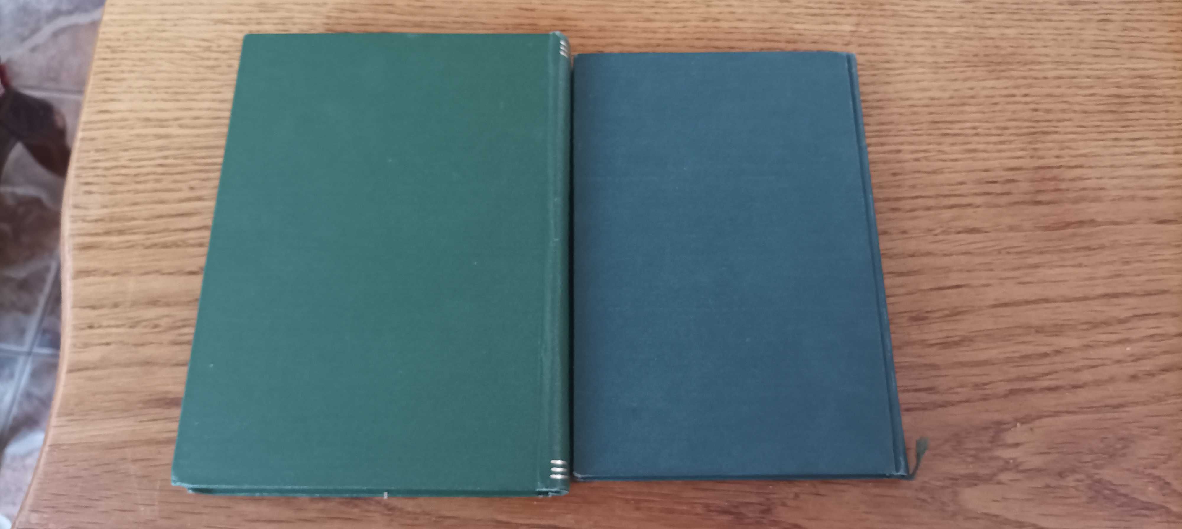Книги о Санине Арцебашева и Графа Амори 1917 и 1931 год издания