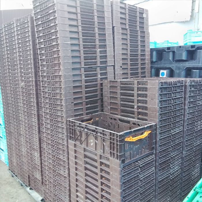 Ящики пластиковые складные