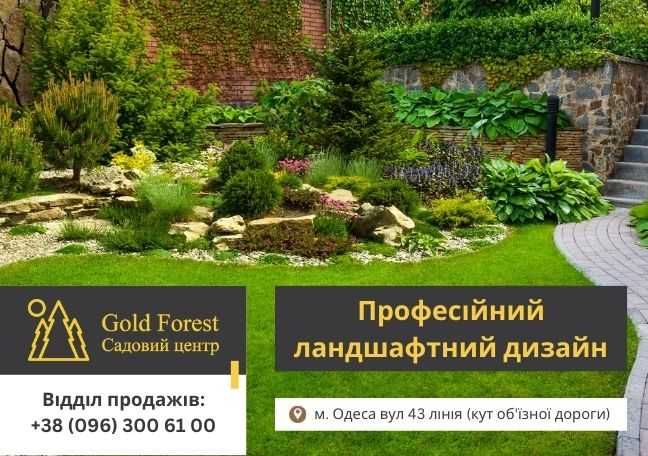 Ландшафтный дизайн