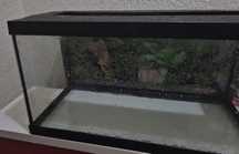 Aquario com tampa de 65L