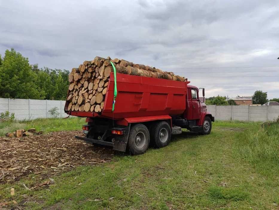 Дрова дубовые плотно уложенные Харьков и область