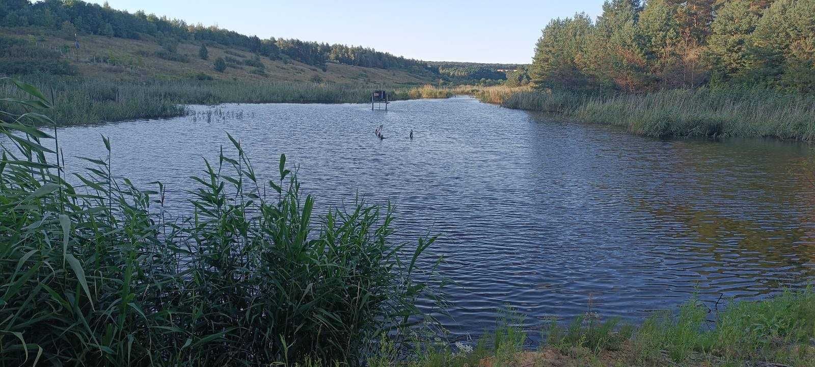 Оренда земельної ділянки, площею 5,2625 га, Сумська обл.