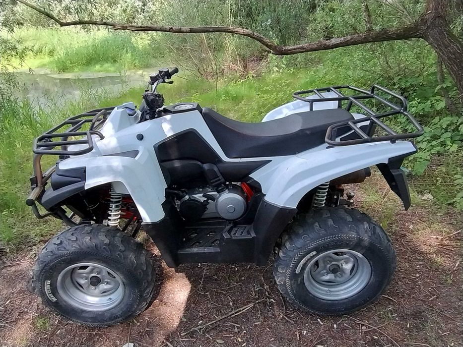 Access Triton IRS Hom L7E Quad TGB Kymco Aeon Dinli Linhai Goes Sym