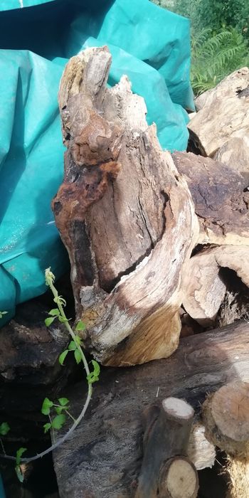 Madeira, troncos rústicos artesanato decoração