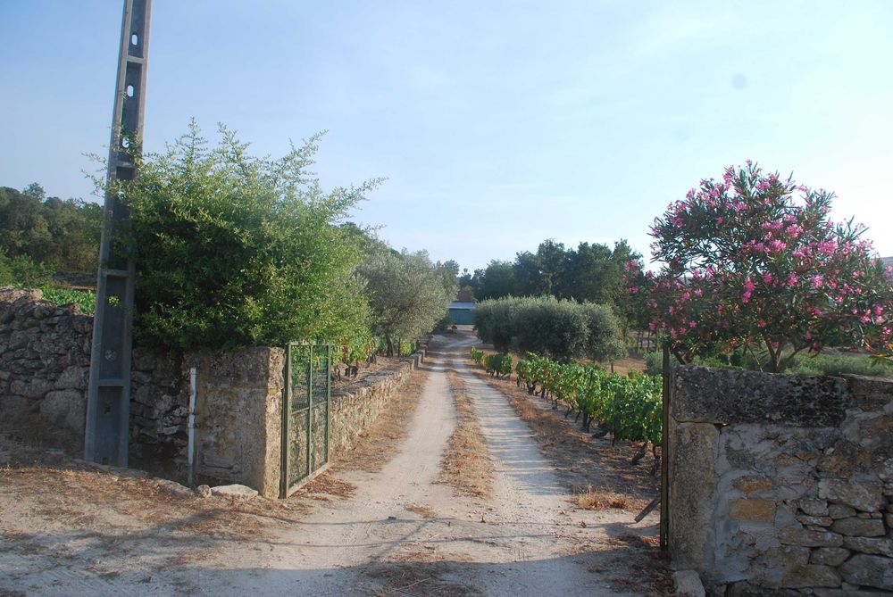 Quinta da Foroa, Macieira (Sernancelhe)
