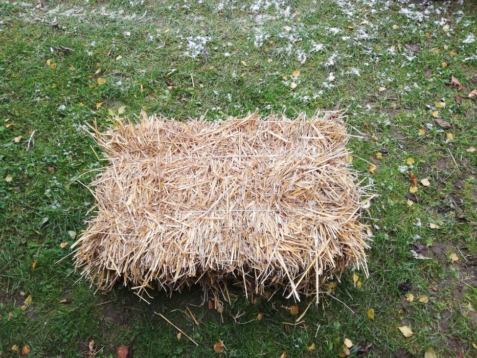 Słoma pszeniczna i owsiana