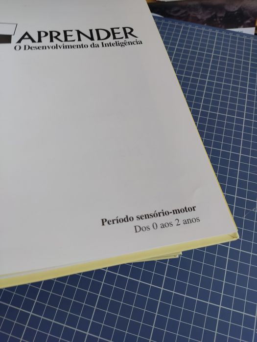 "Aprender - o desenvolvimento da inteligência"
