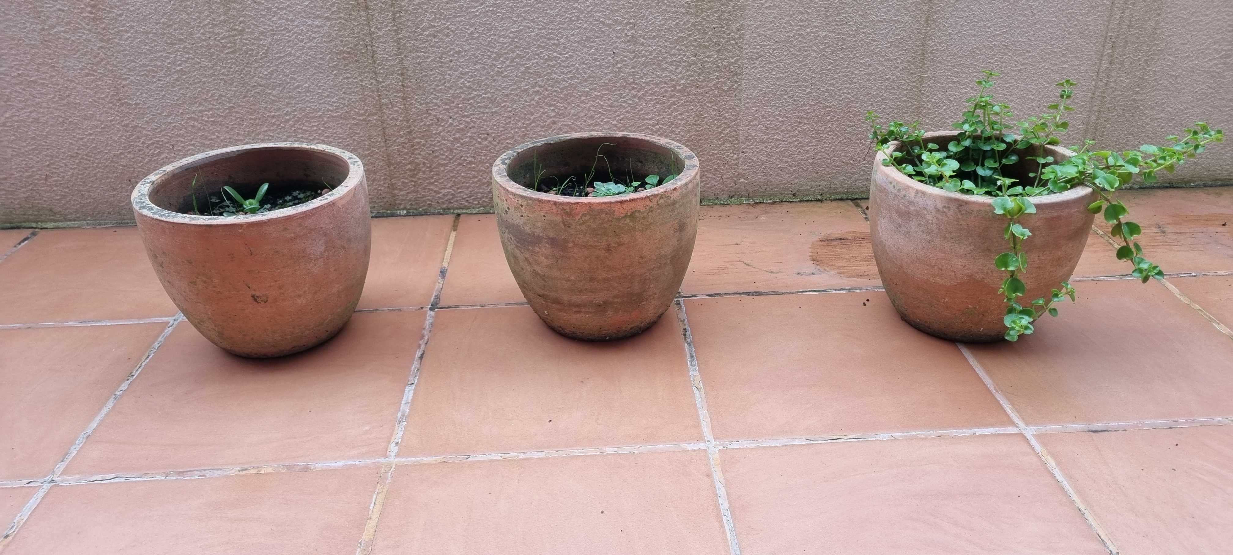 Seis vasos terracota da Area Store :  três 37x36cm + três 19x24cm