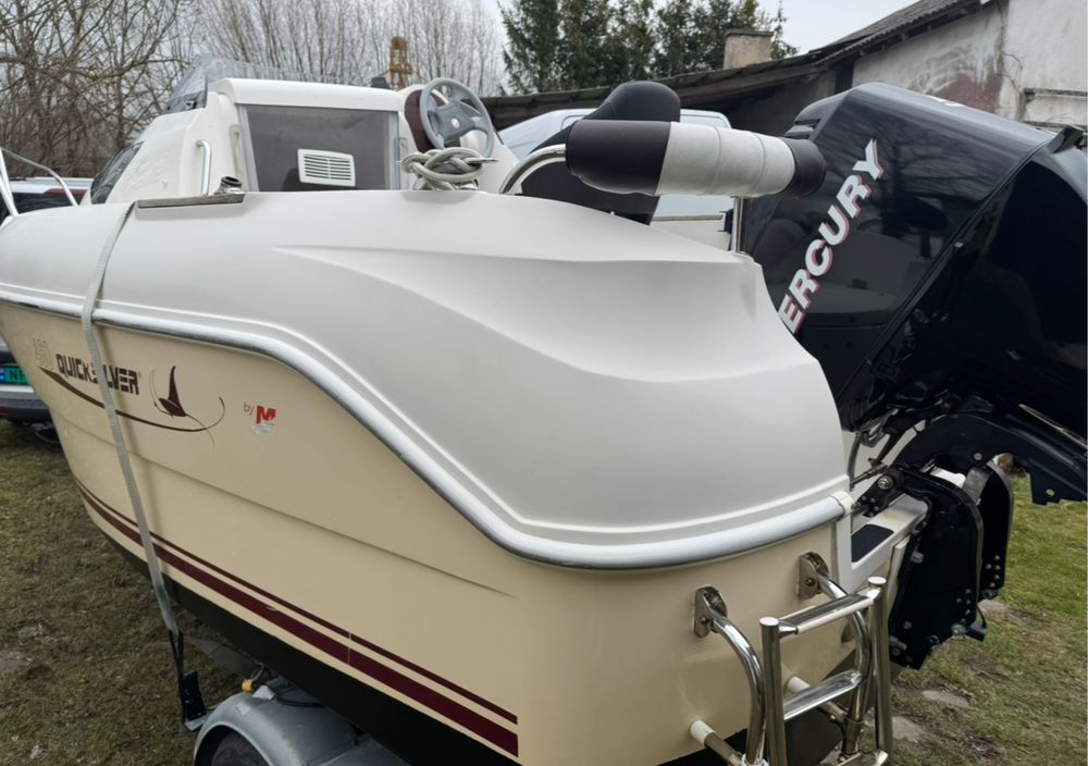 Quicksilver Mercury 50 EFI