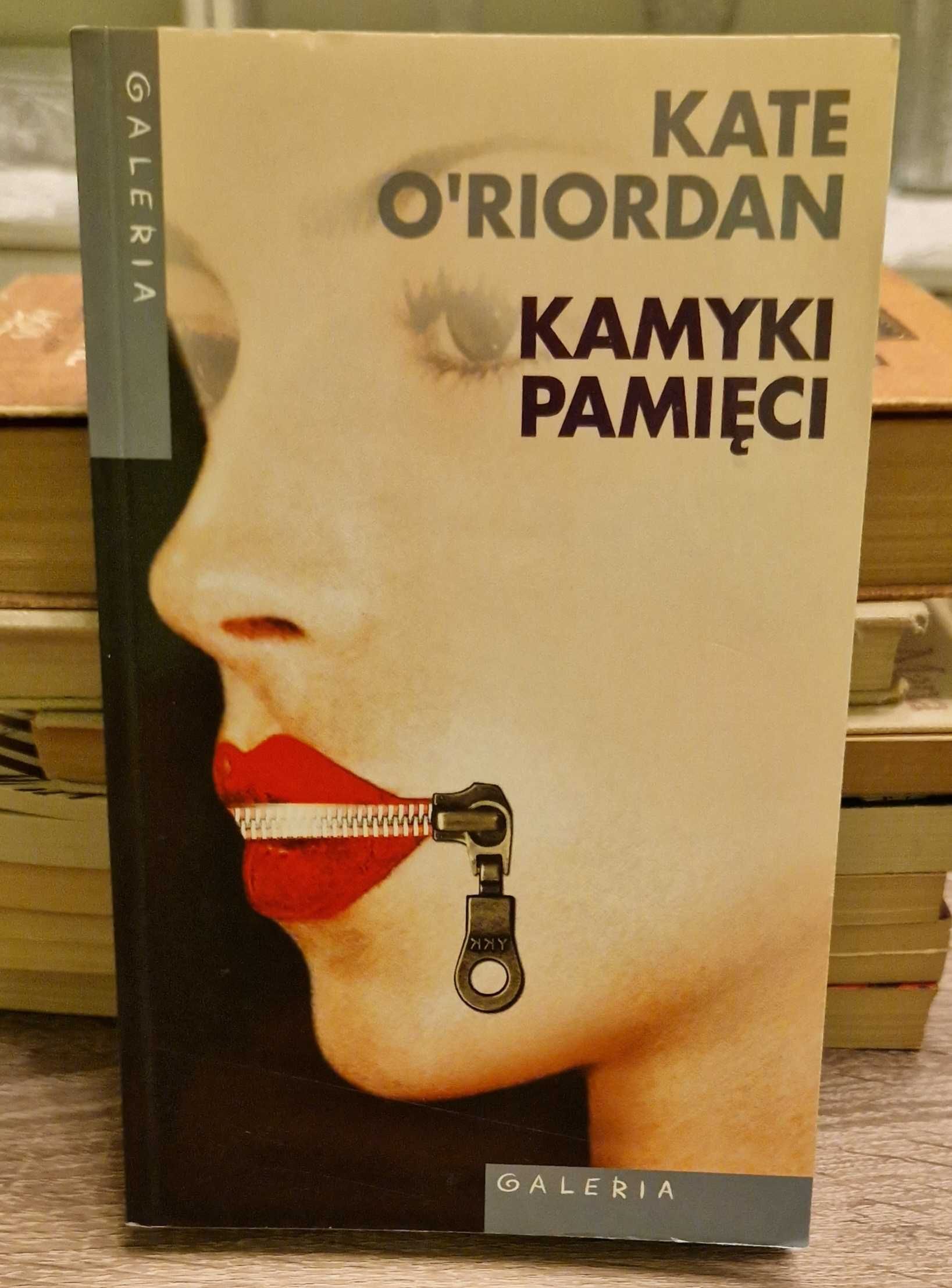 Książka Kate O'Riordan Kamyki pamięci