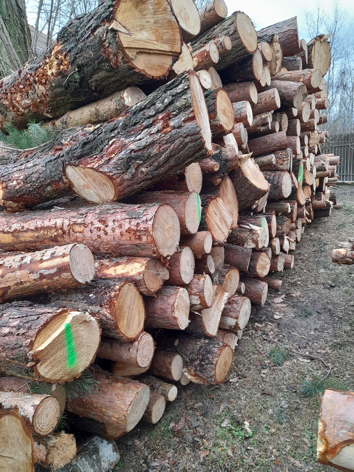 Drewno opałowe Firlej