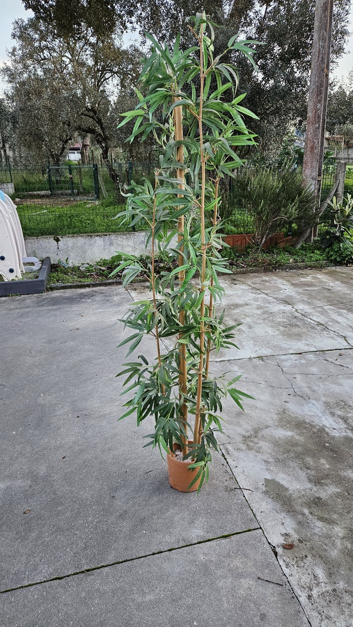 Arranjo decorativo bambu