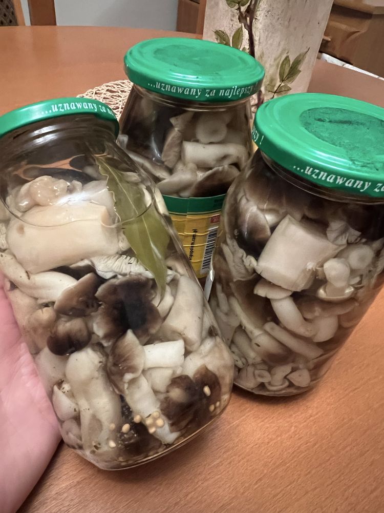 Grzyby marynowane podzielonki