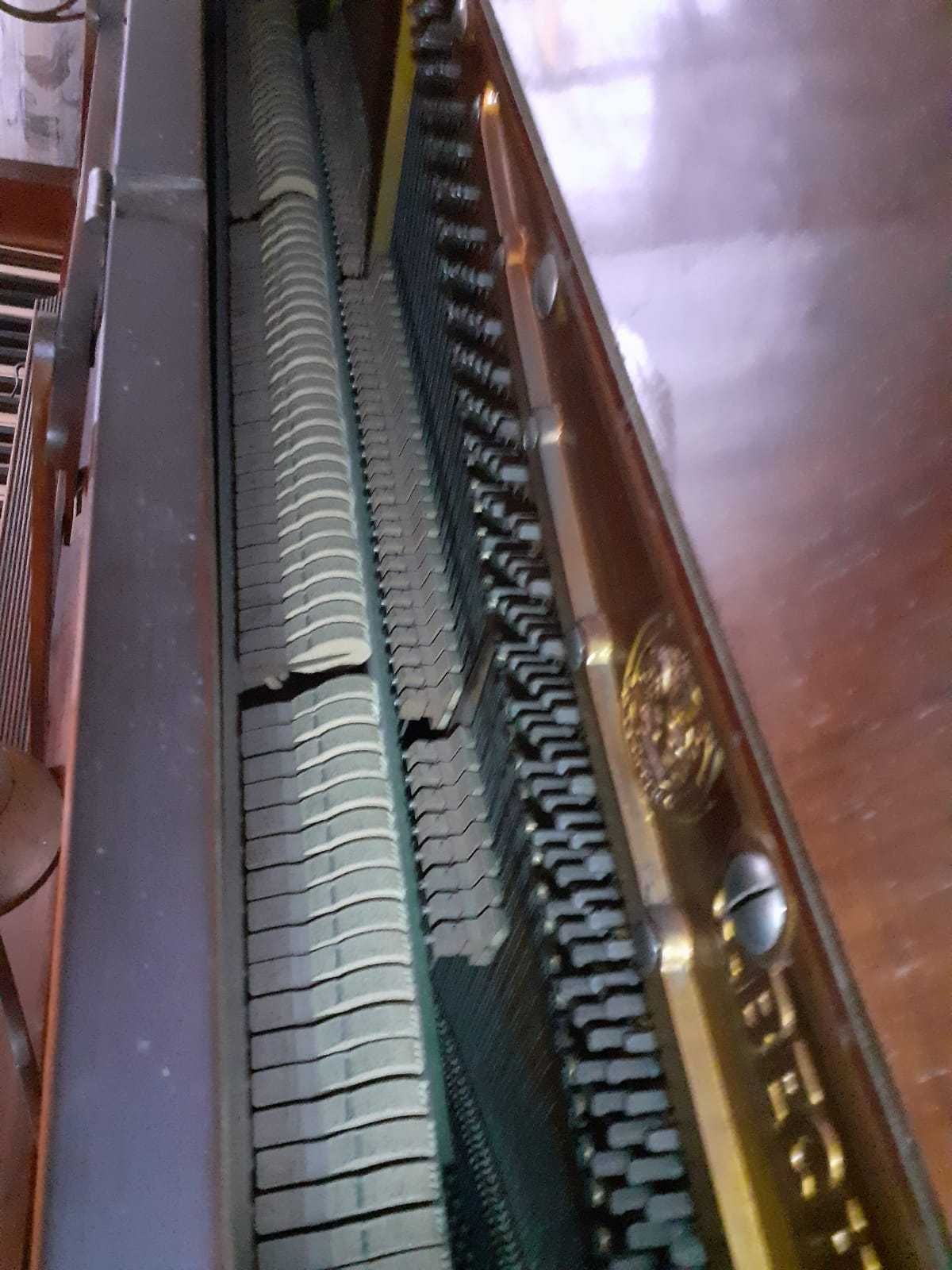 Pianino C.Bechstein Berlin z duszą