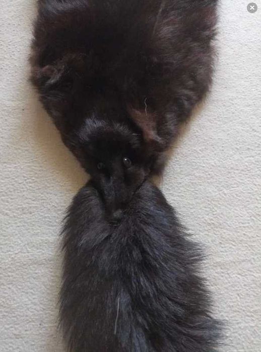 Estola de pele verdadeira