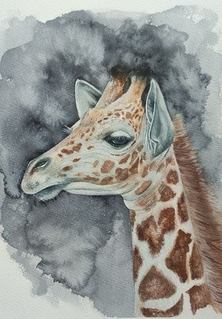 "Żyrafa"obraz akwarela 24x31