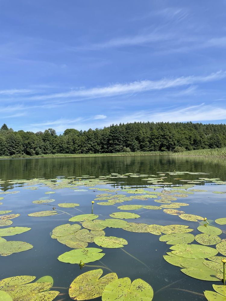 Działka letniskowa