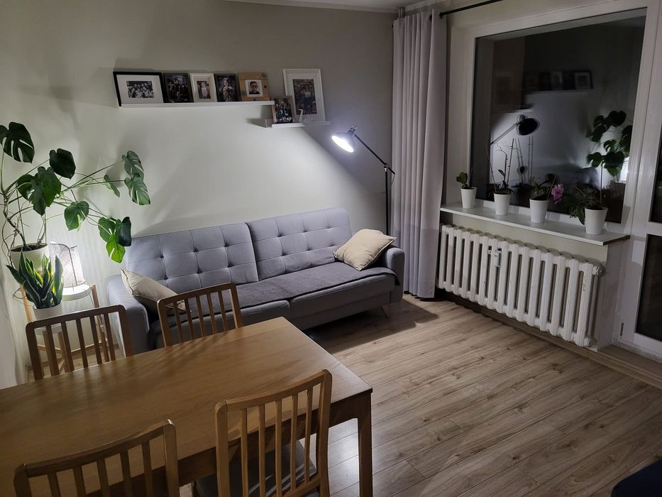Mieszkanie Szczecin Płonia 4 pokoje balkon piwnica 64 m2