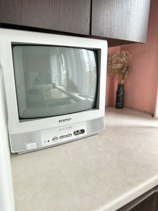 Телевізор Sharp 14D1-S