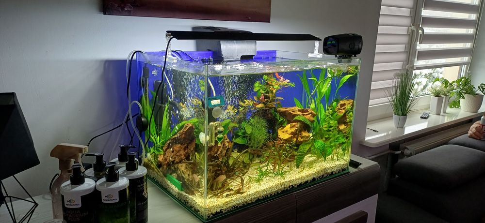 Akwarium OptiWhite 100L – kompletne wyposażenie