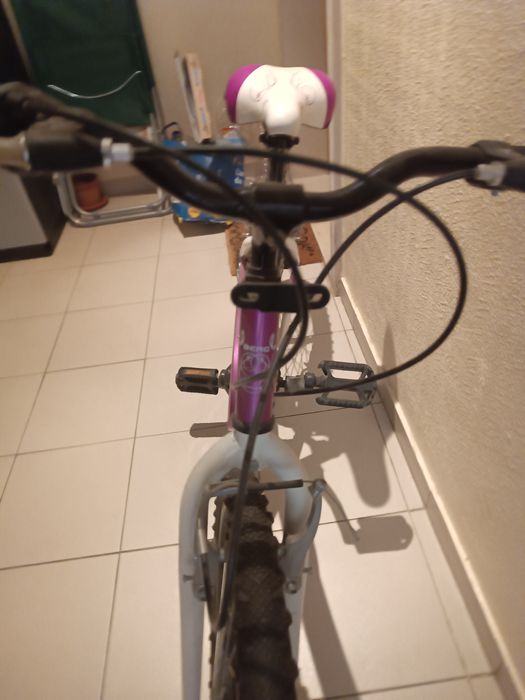 Bicicleta de rapariga