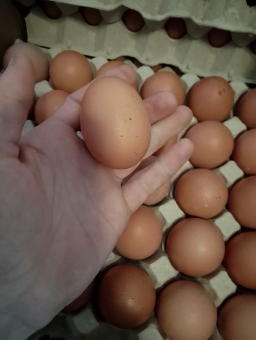 Ovos caseiros cartões de 30 ovo