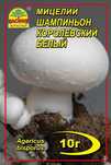 Мицелий грибов сухой