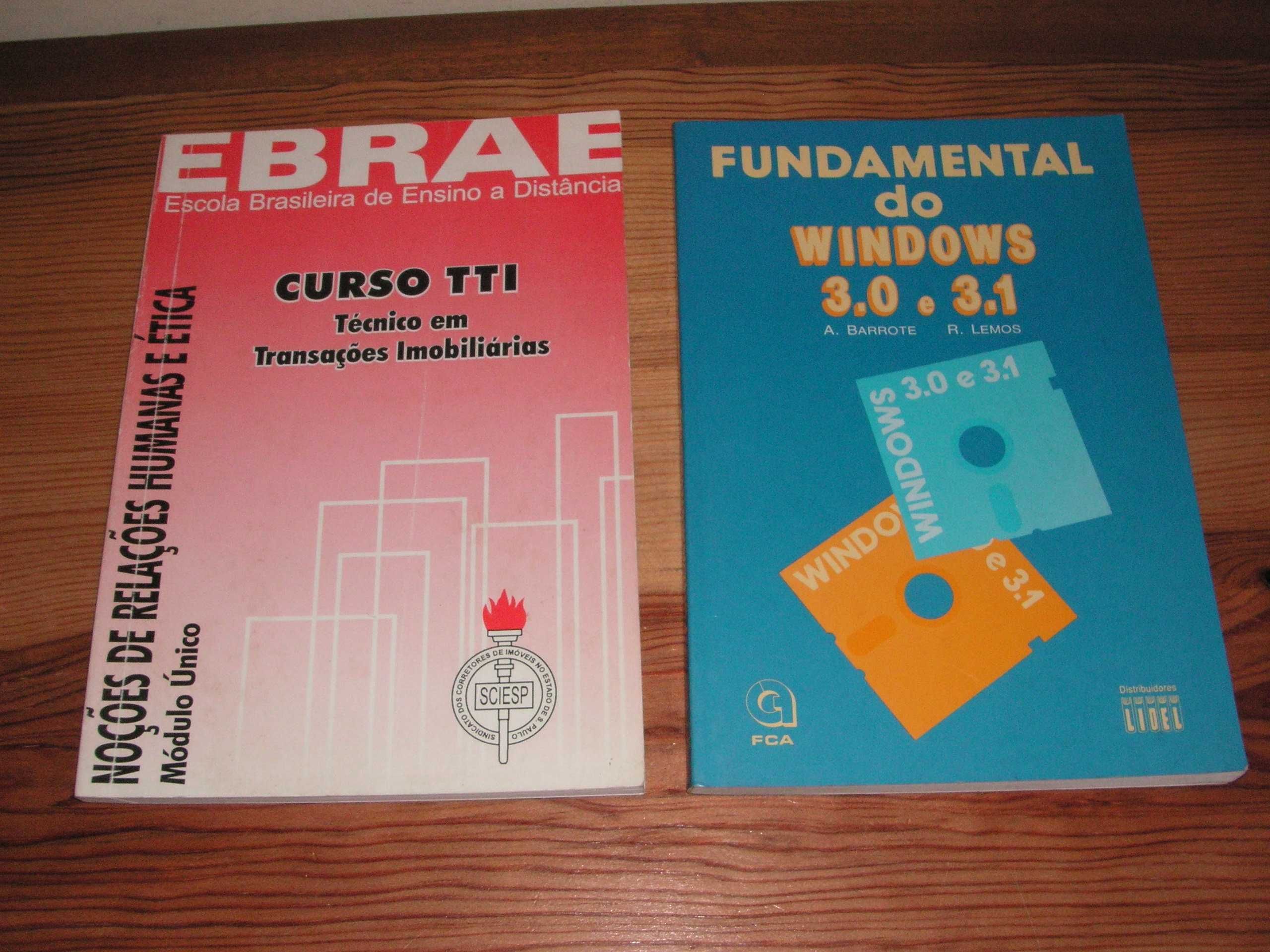 Técnico em Transações Imobiliárias e Fundamental Windows 3.0 e 3.1