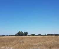 Terreno misto em Vale de Santiago no Alentejo