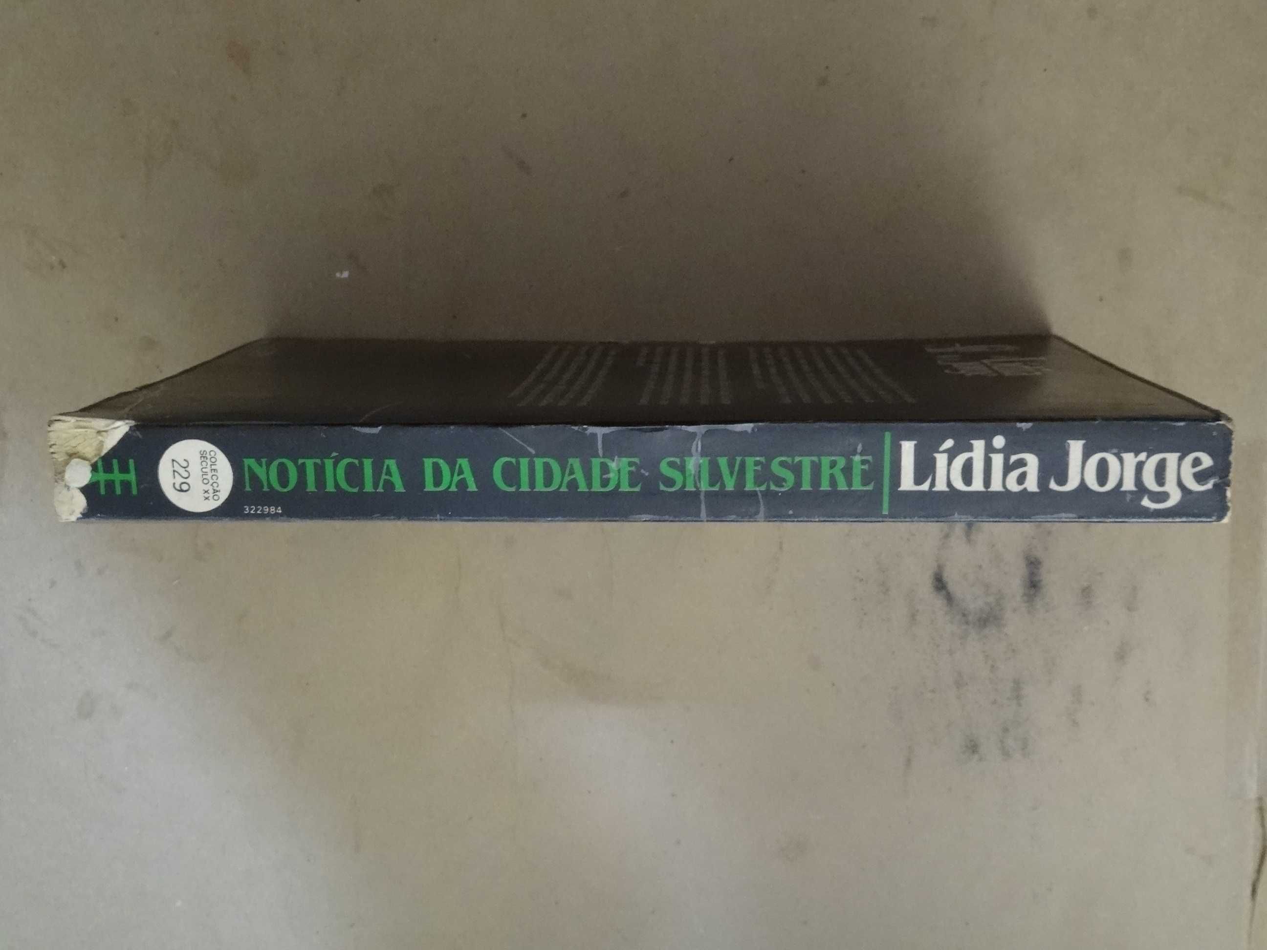 Notícia da Cidade Silvestre de Lídia Jorge