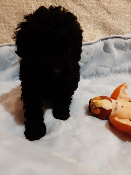 Подрастают мальчики и девочки