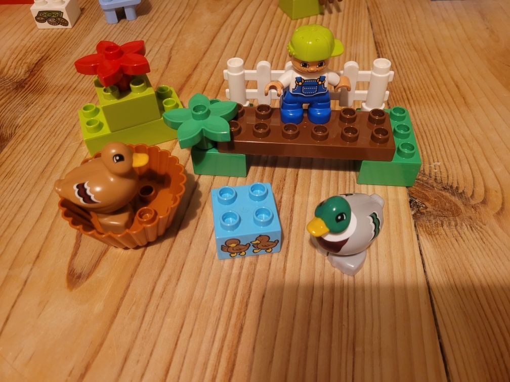 Lego Duplo - leśne zwierzątka i kaczki 2 zestawy